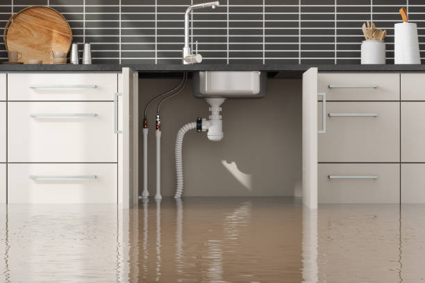 Best Flood damage cleanup  in Hideaway, TX