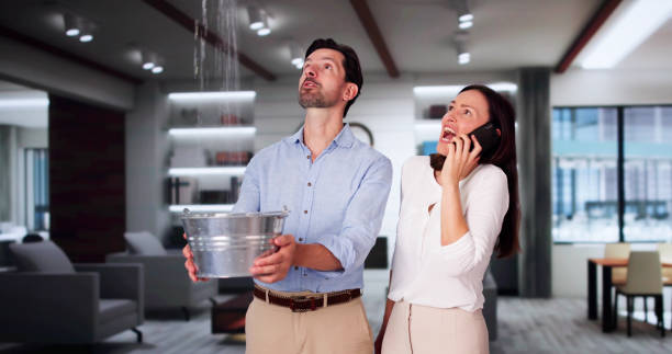 Best Ceiling water damage repair  in Hideaway, TX